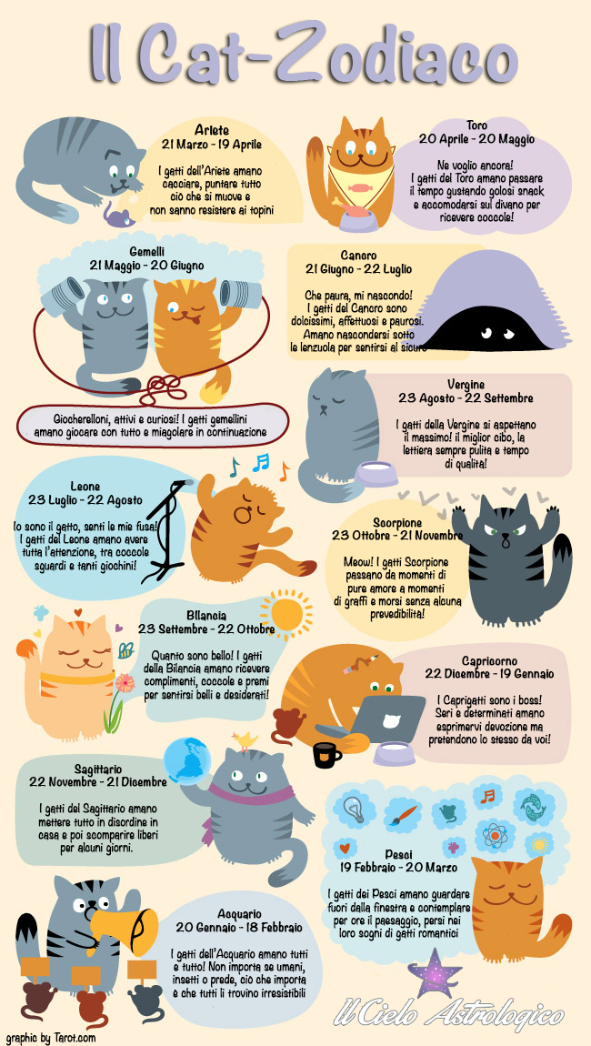 infografica cat zodiaco
