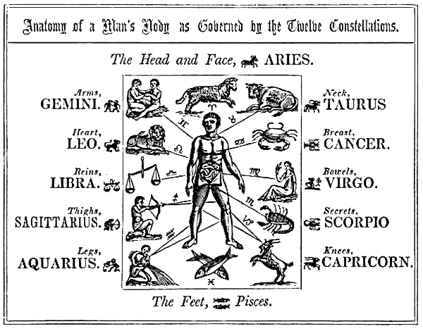 uomo zodiaco: segni zodiacali e parti del corpo